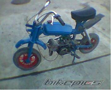 Bike Photo 239925