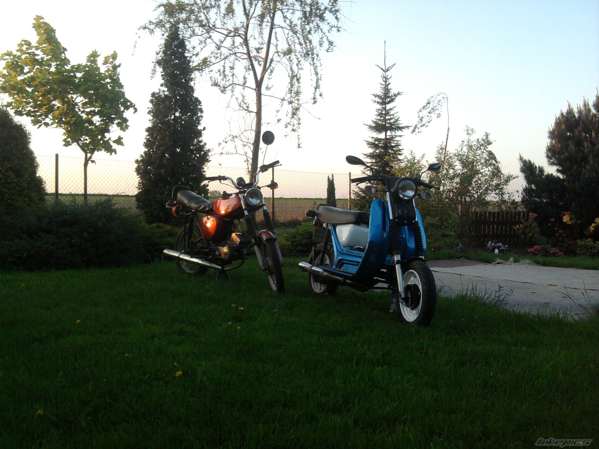 Photo 2399333