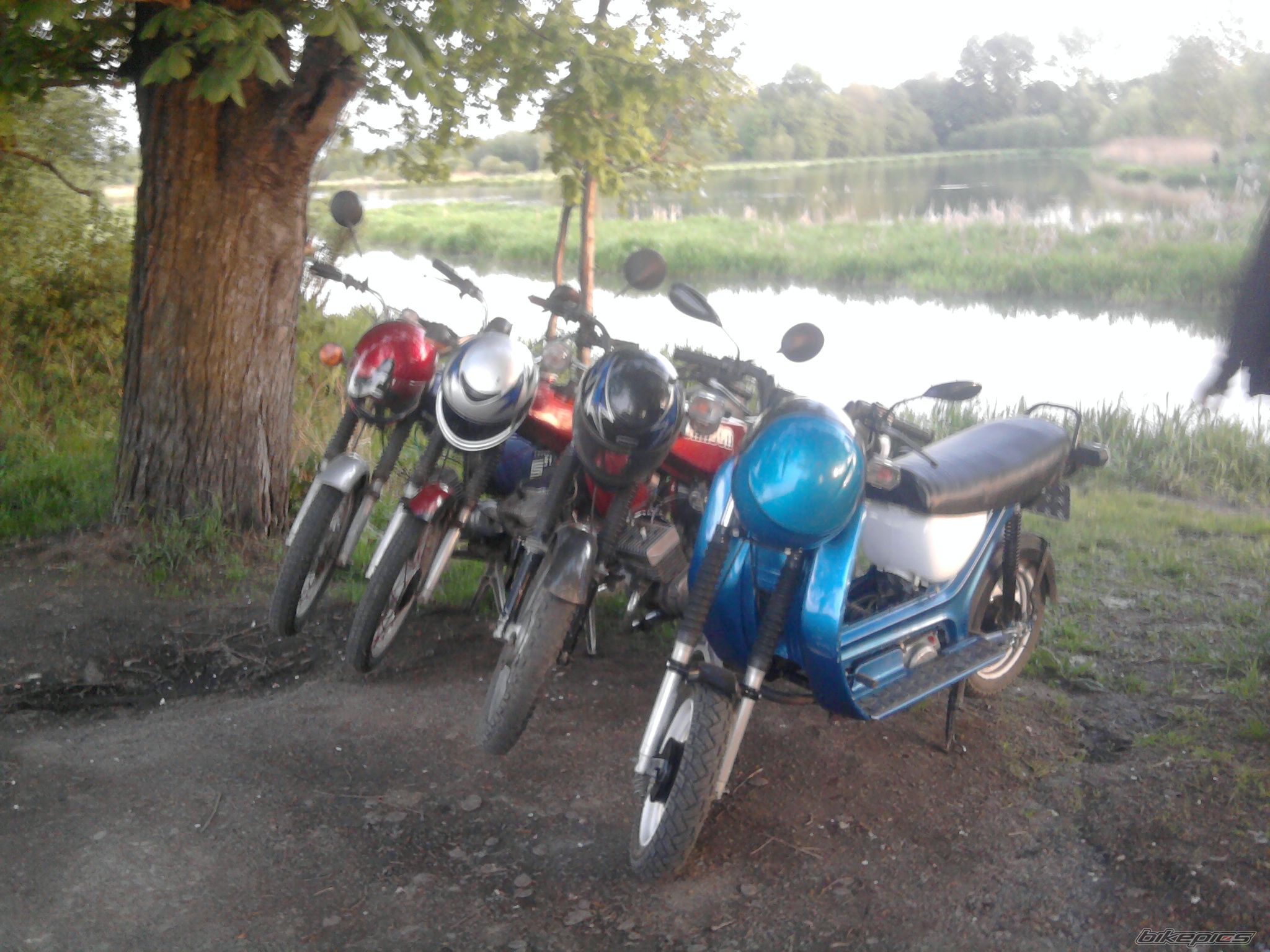 Photo 2399343