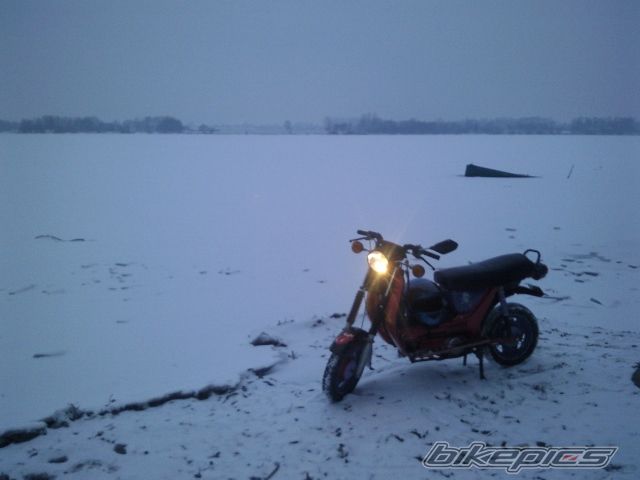 Photo 2399354
