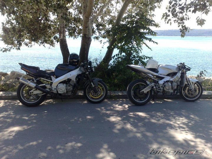 Photo 2399380