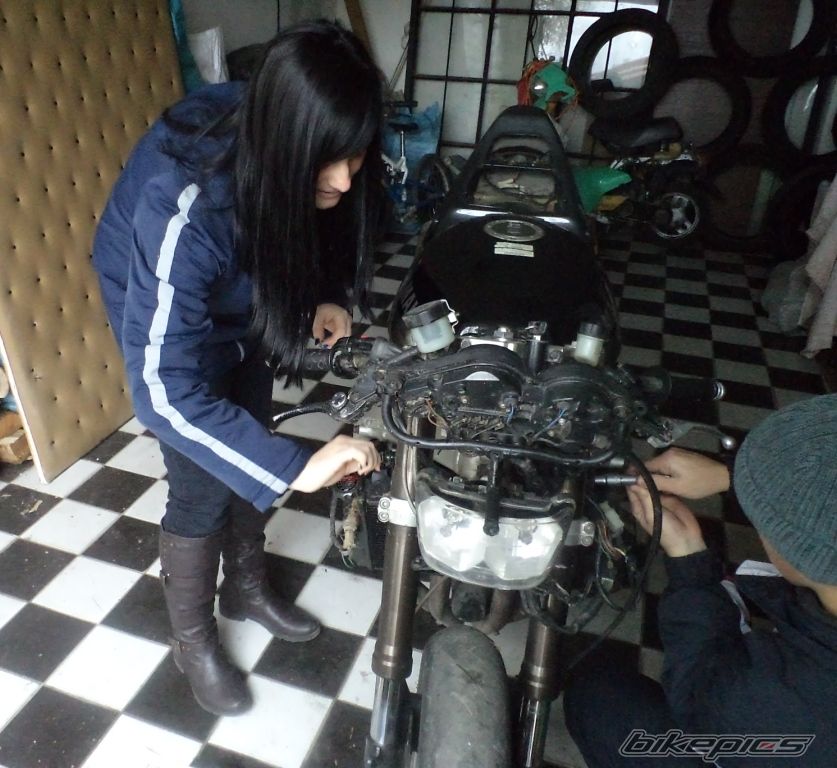 Photo 2399432