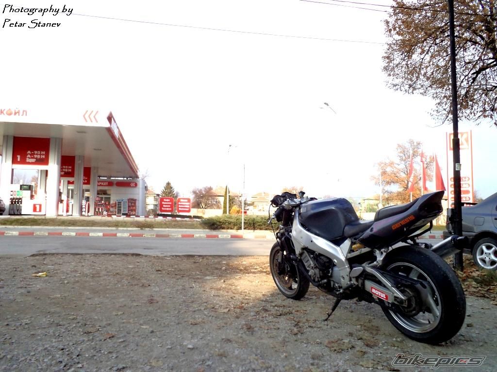 Photo 2399435