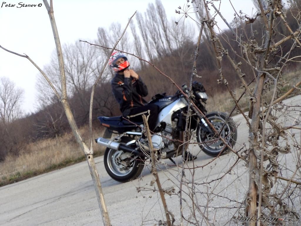 Photo 2399468