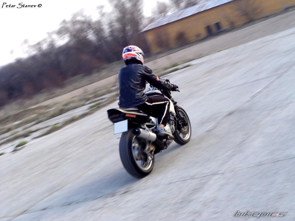 Photo 2399470