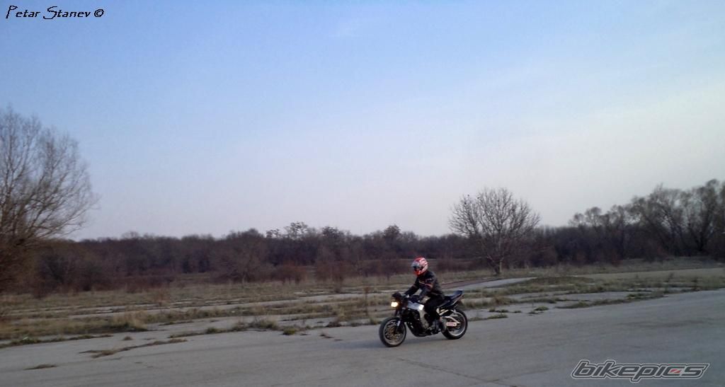 Photo 2399471