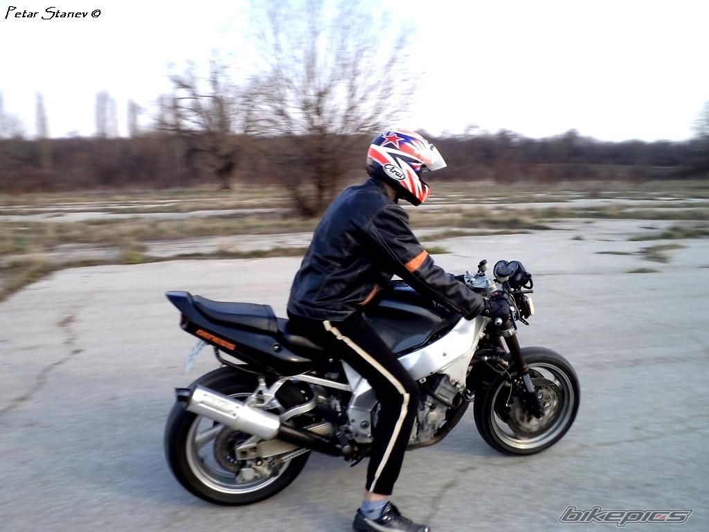 Photo 2399473