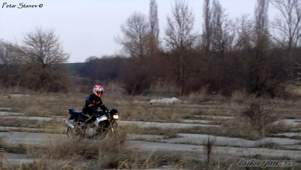 Photo 2399480