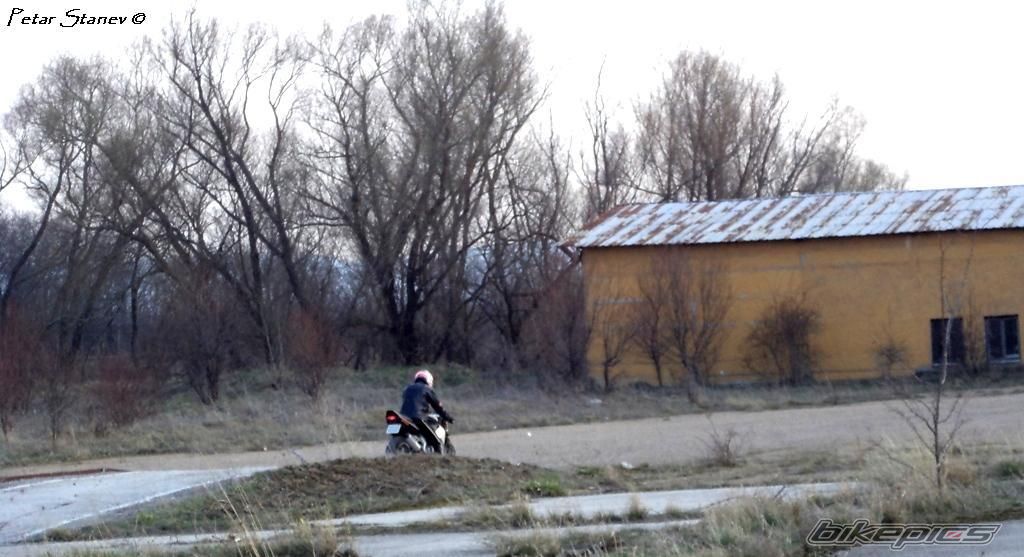 Photo 2399481