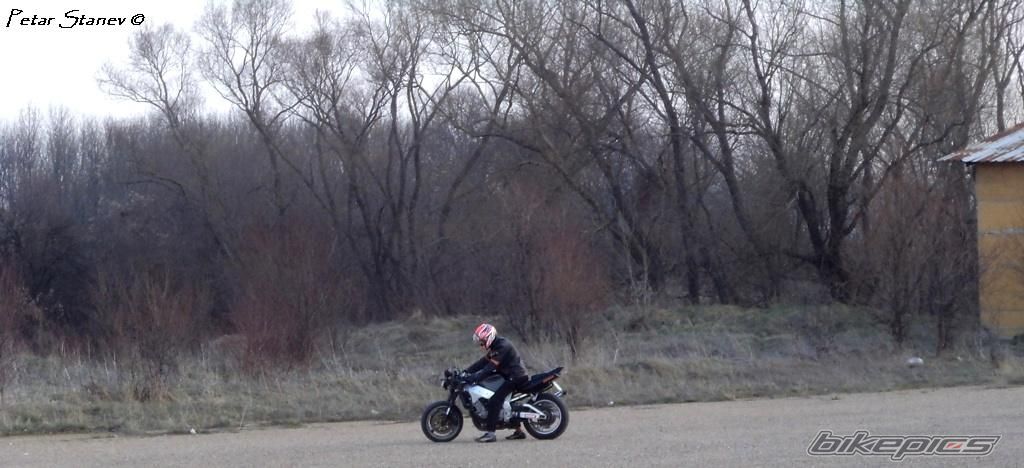 Photo 2399482