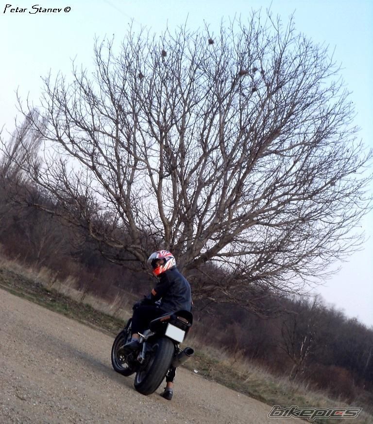 Photo 2399486