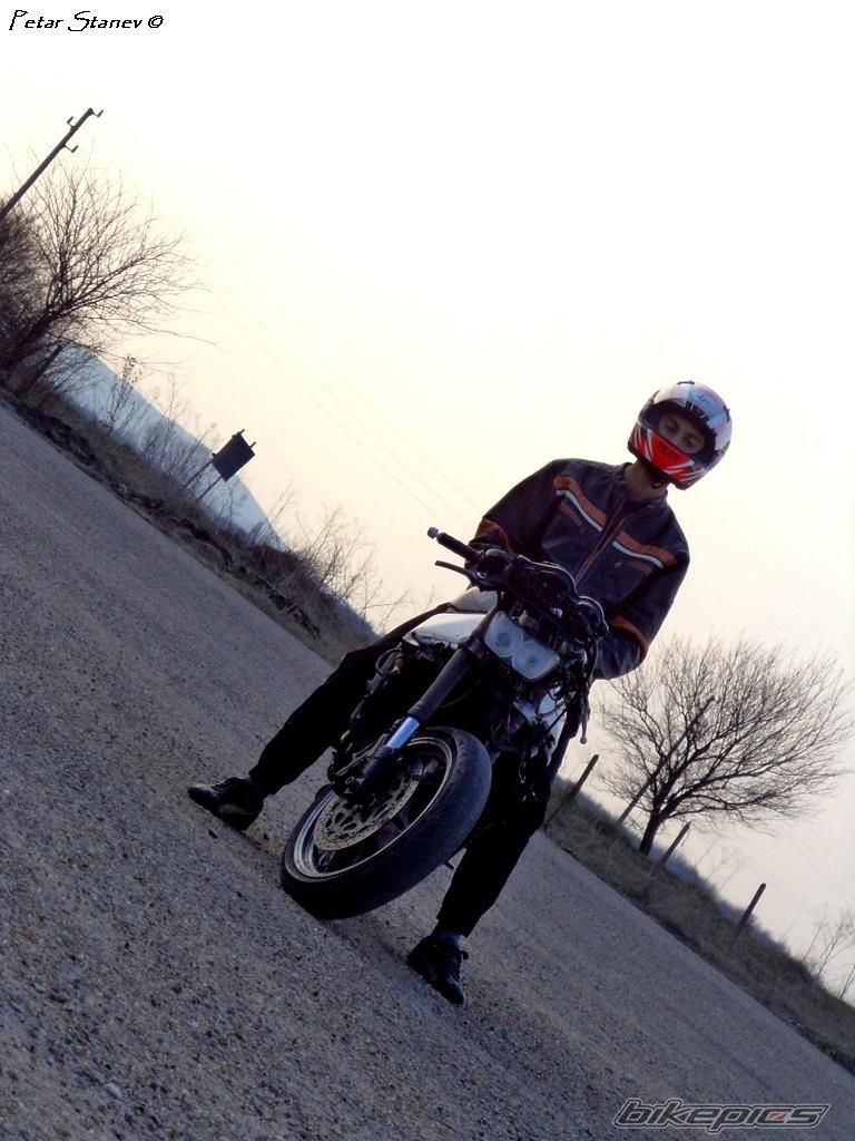 Photo 2399489