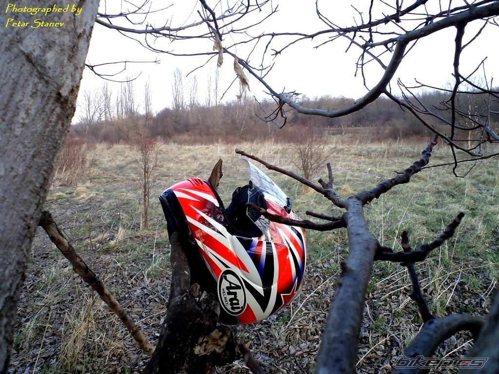 Photo 2399498