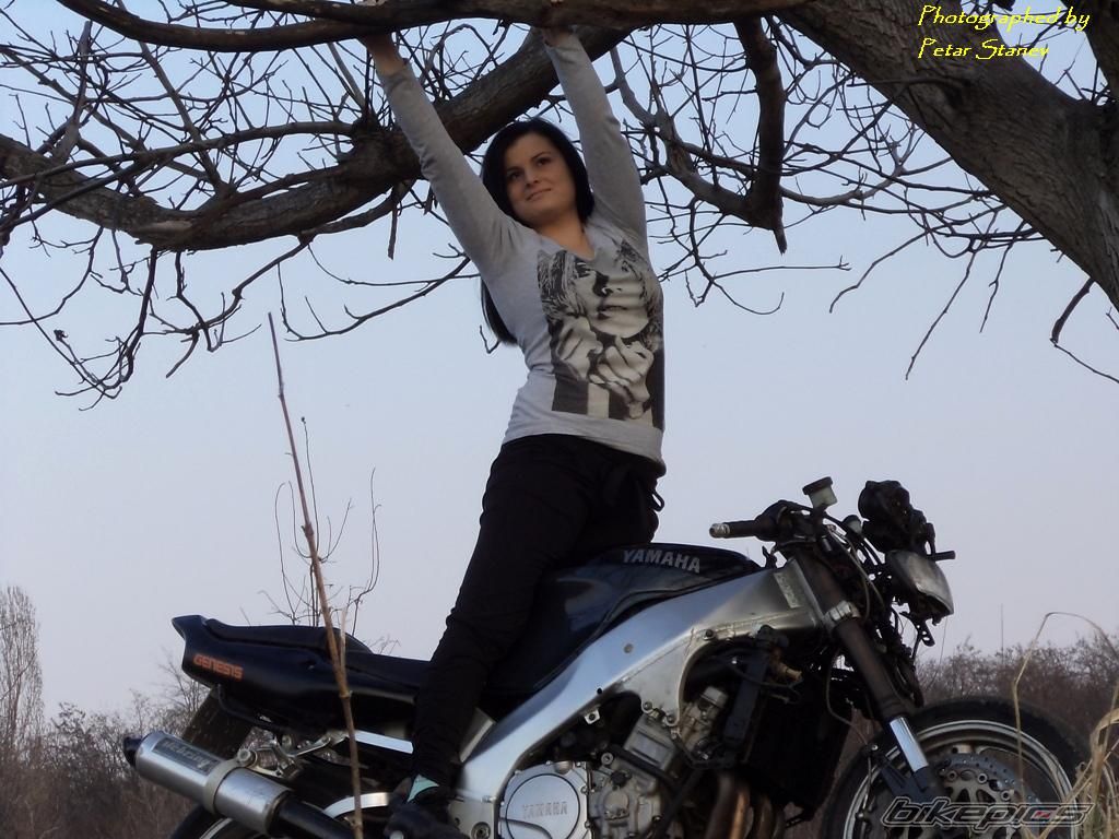 Photo 2399499