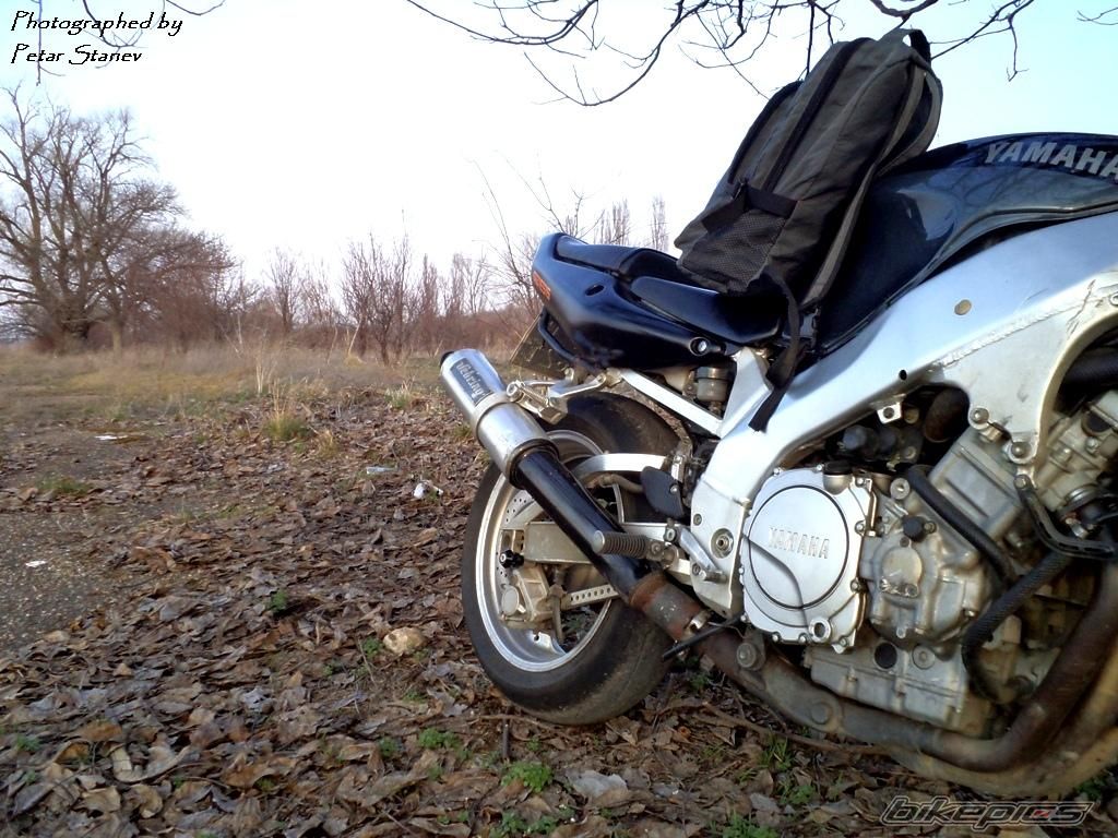 Photo 2399502