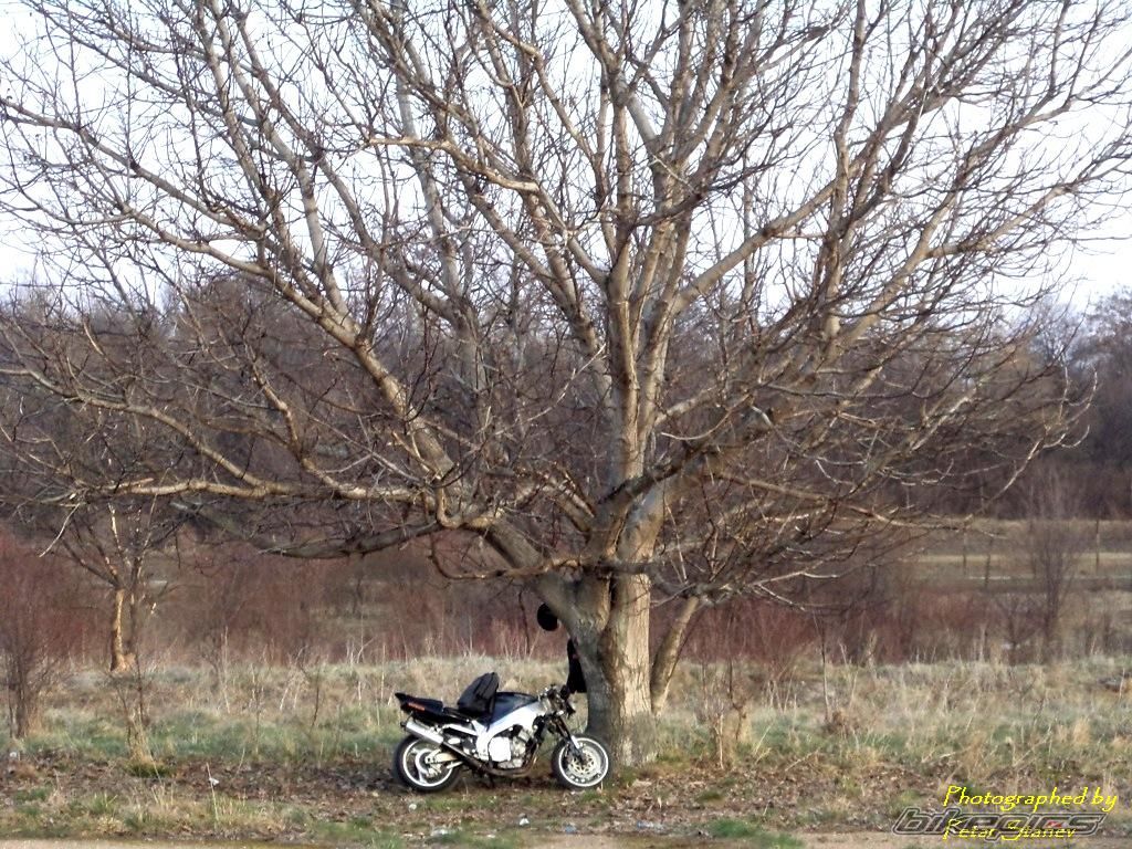 Photo 2399504