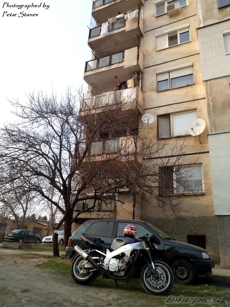 Photo 2399507