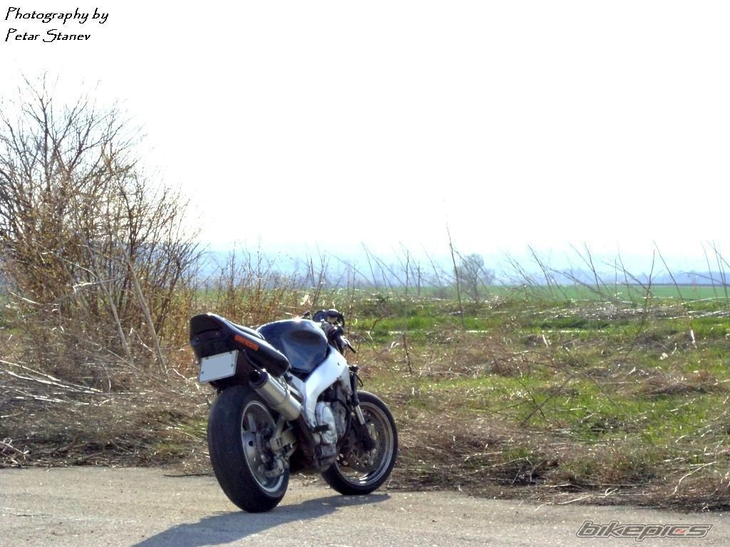 Photo 2399537