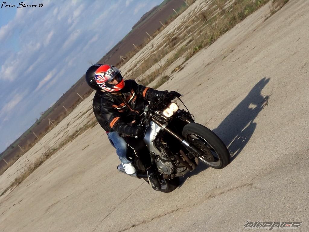Photo 2399541