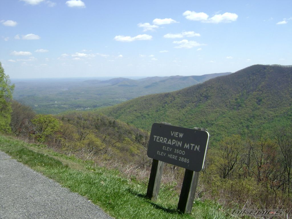 Photo 2399551