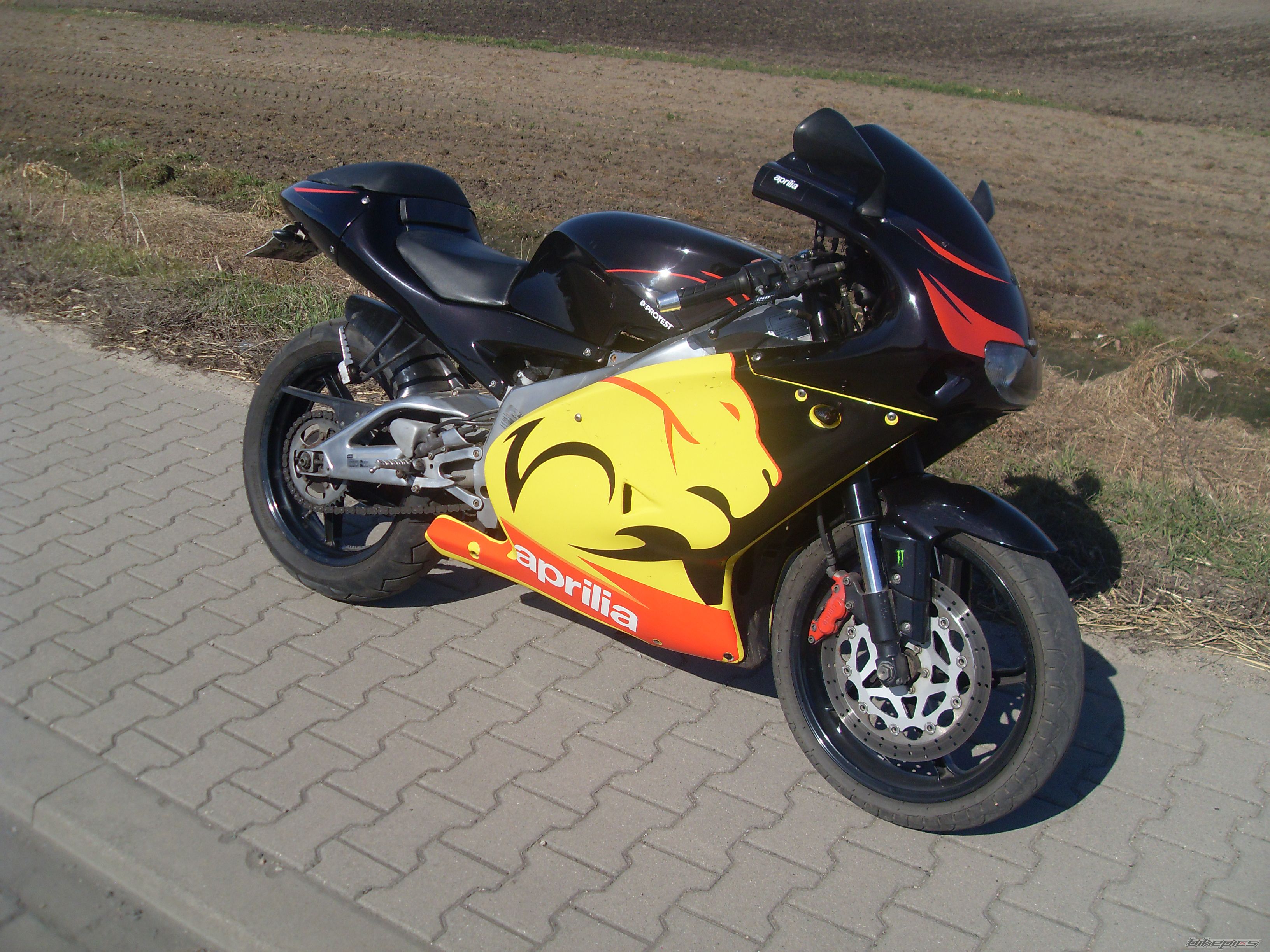 Photo 2399733