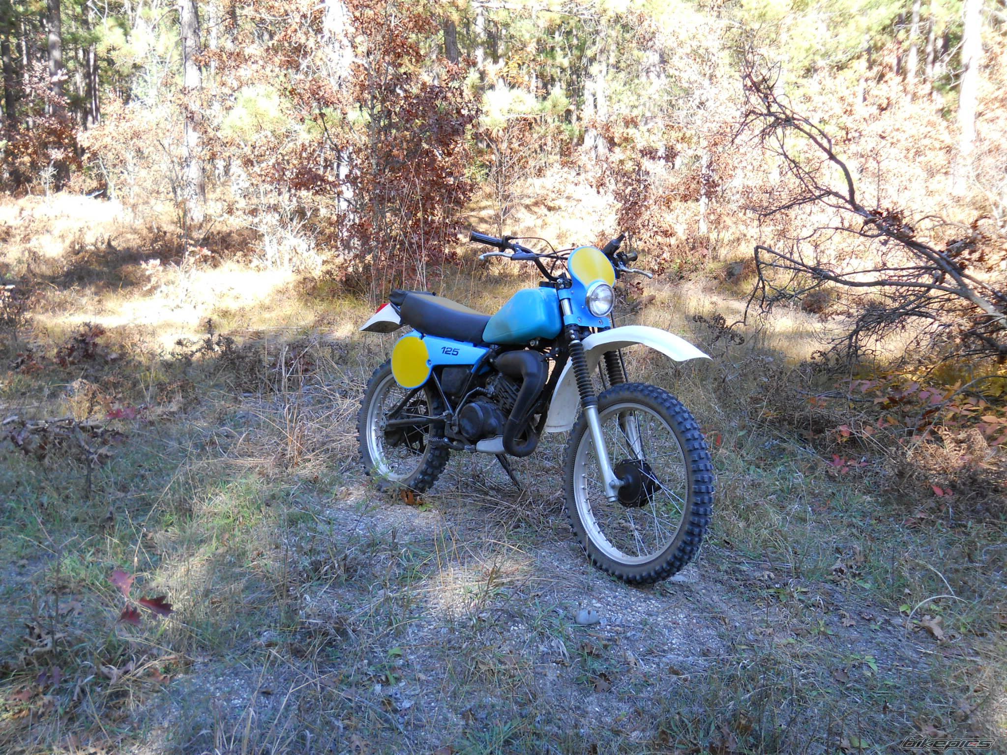 Photo 2399890