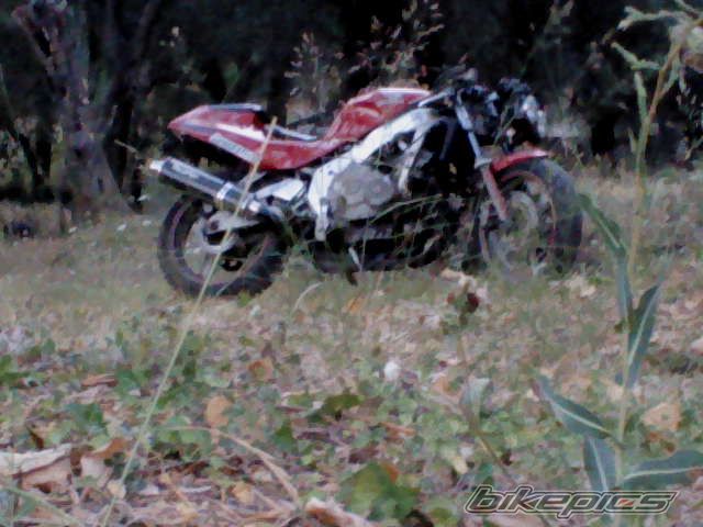 Photo 2400059