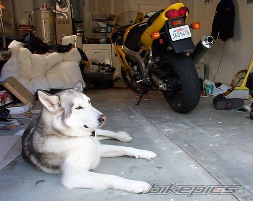 Photo 24002