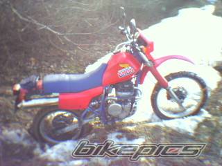 Photo 240022