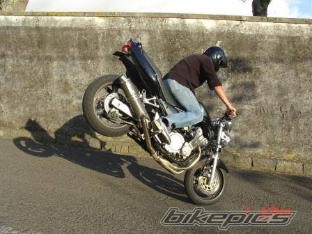 Photo 240037
