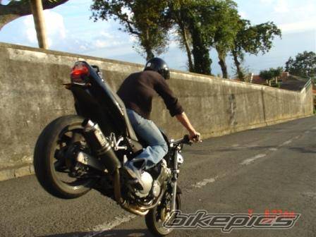 Photo 240038