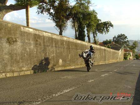 Photo 240039