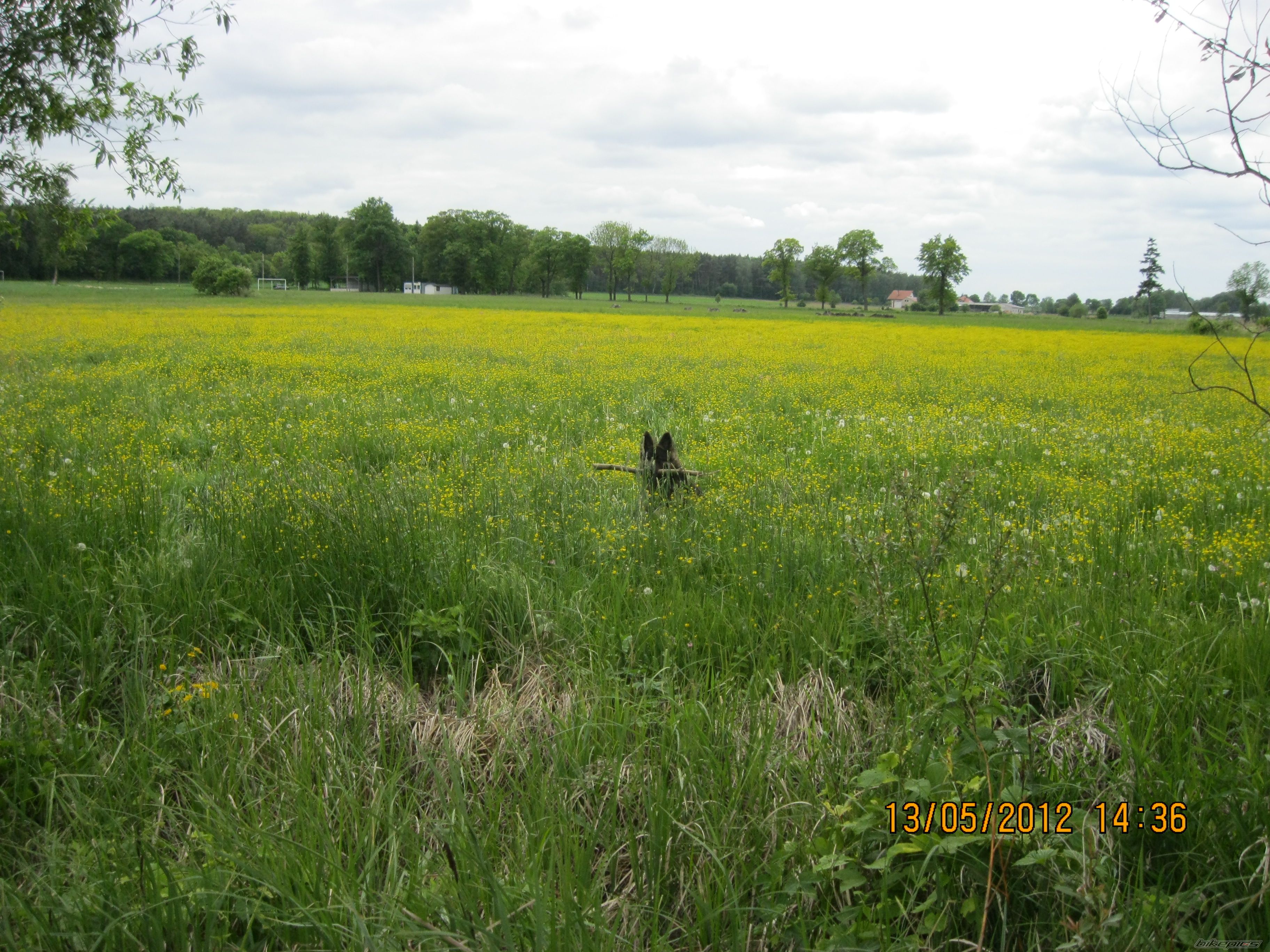 Photo 2400394