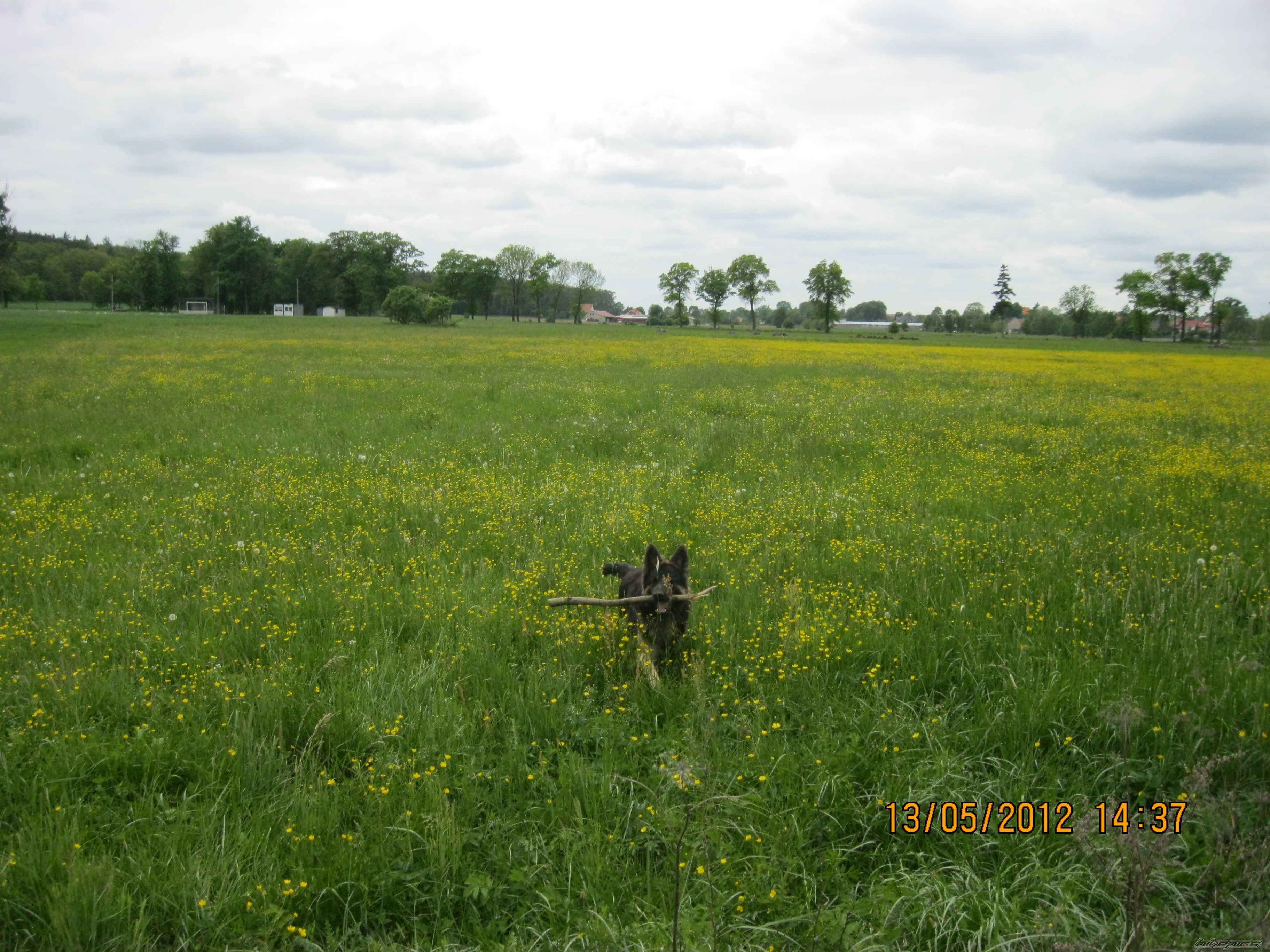 Photo 2400396