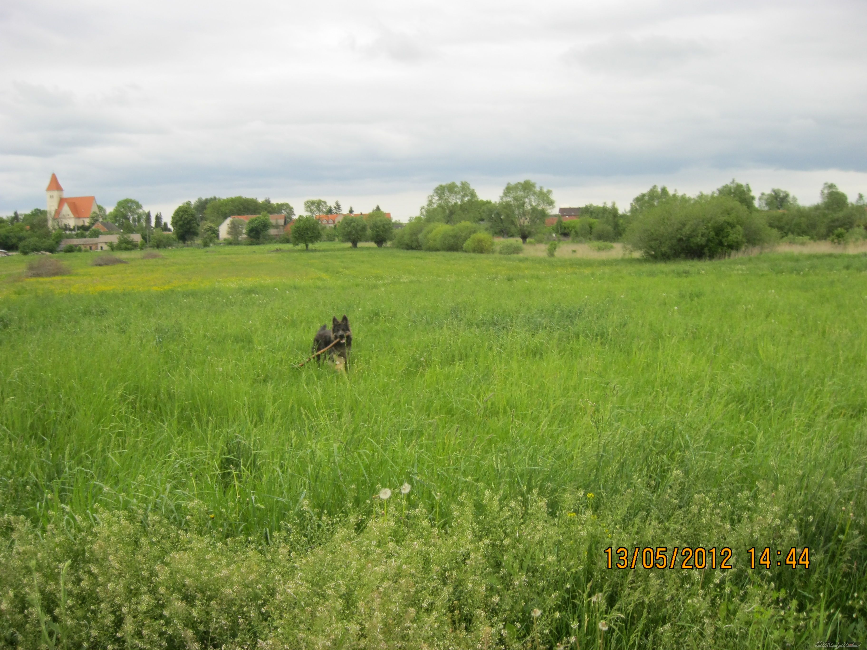 Photo 2400399