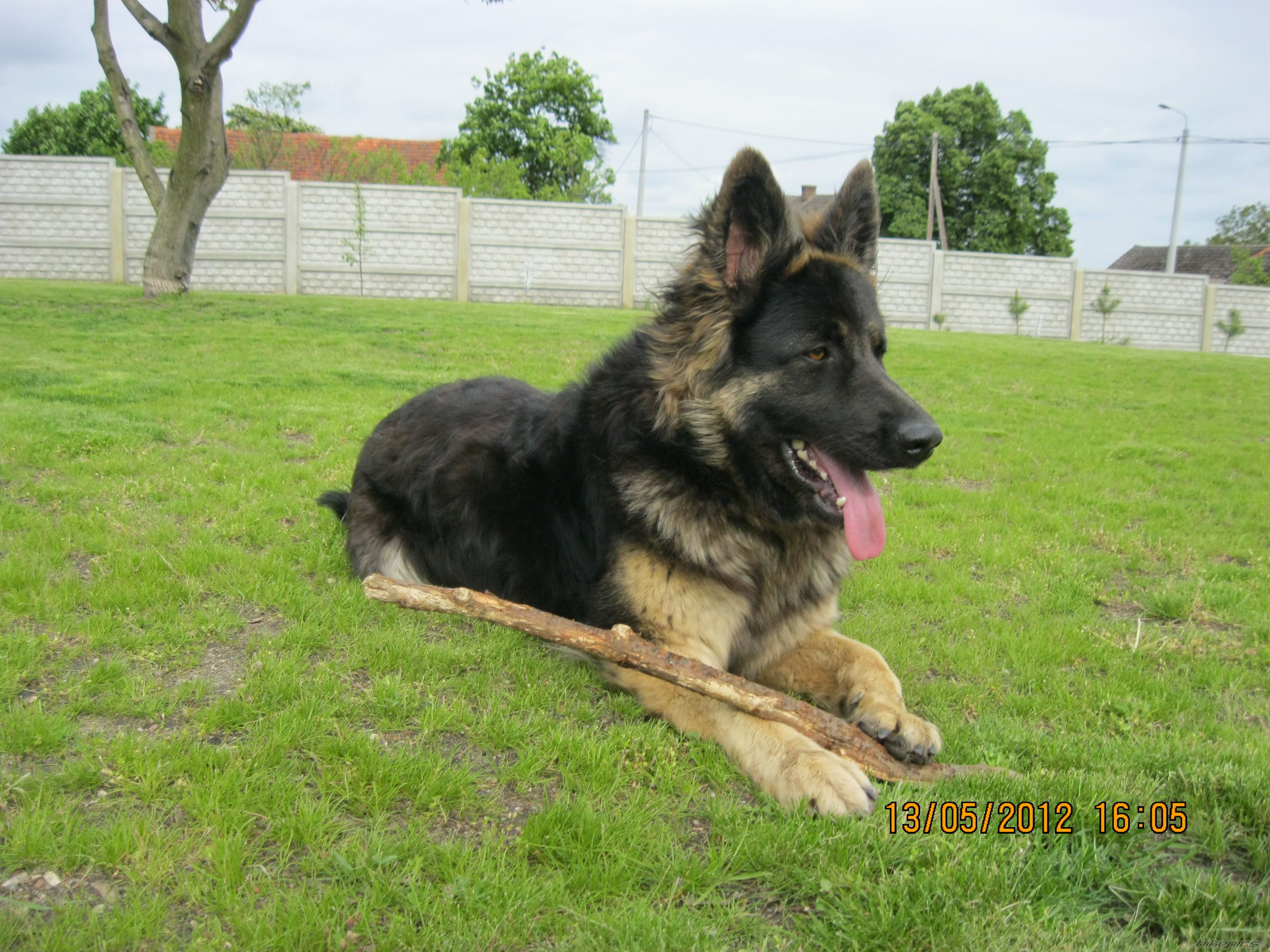 Photo 2400401