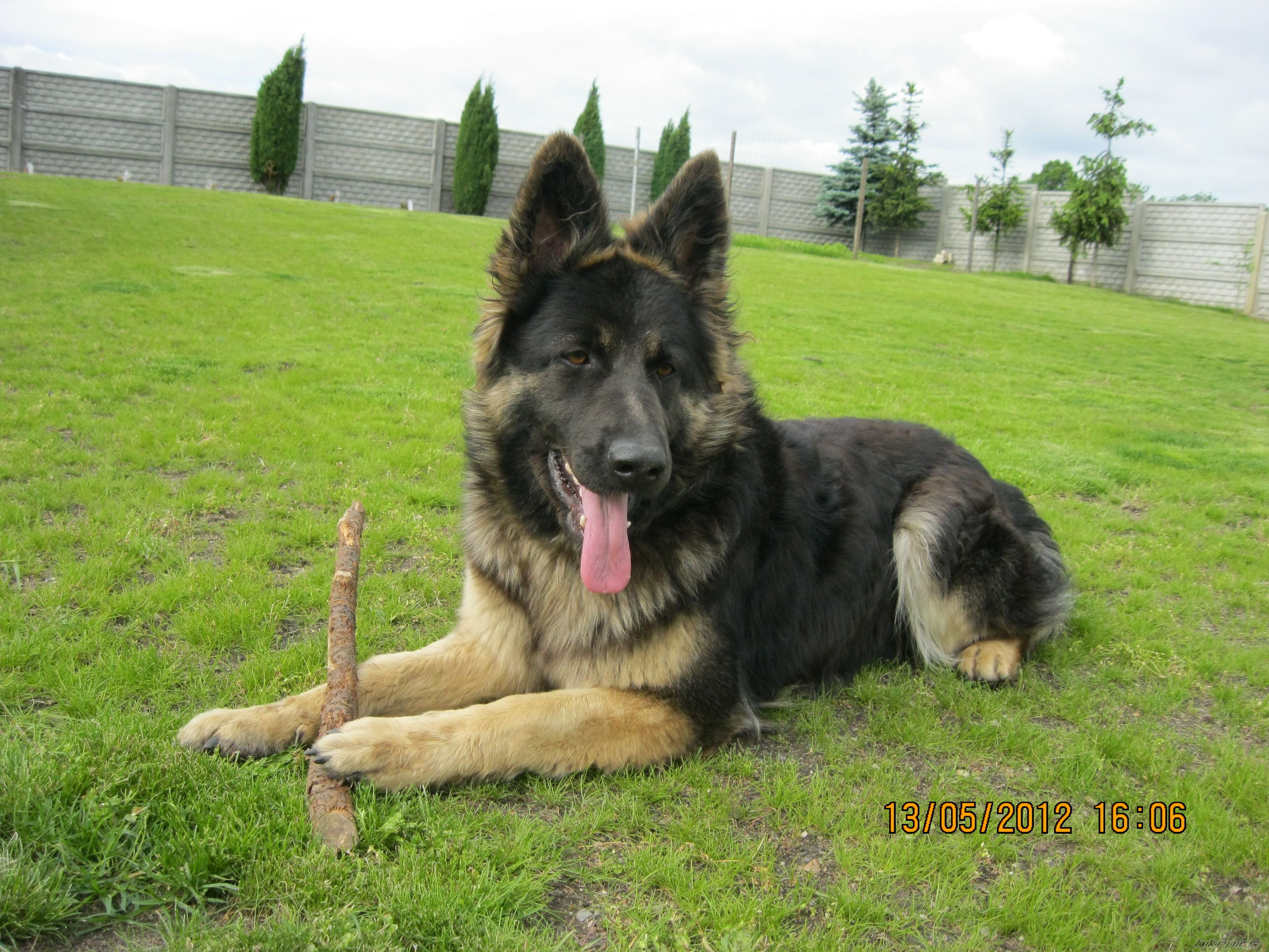 Photo 2400404