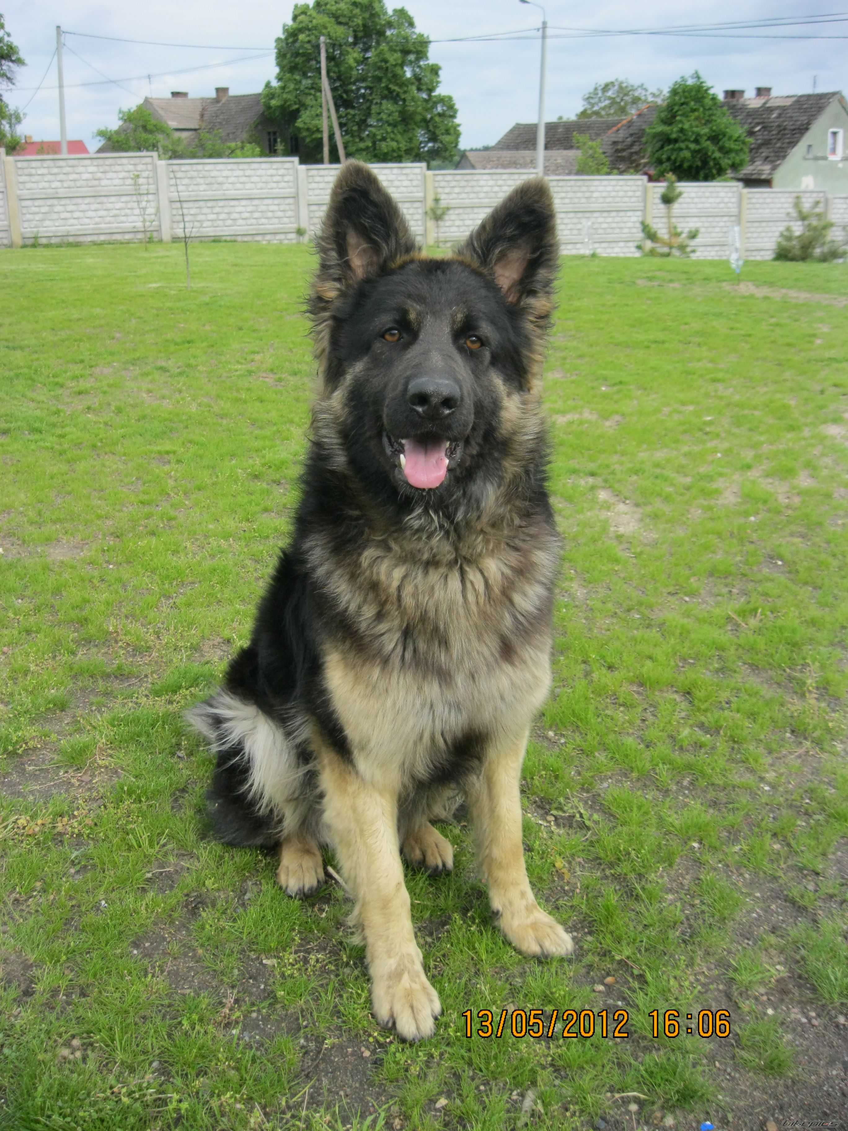 Photo 2400406