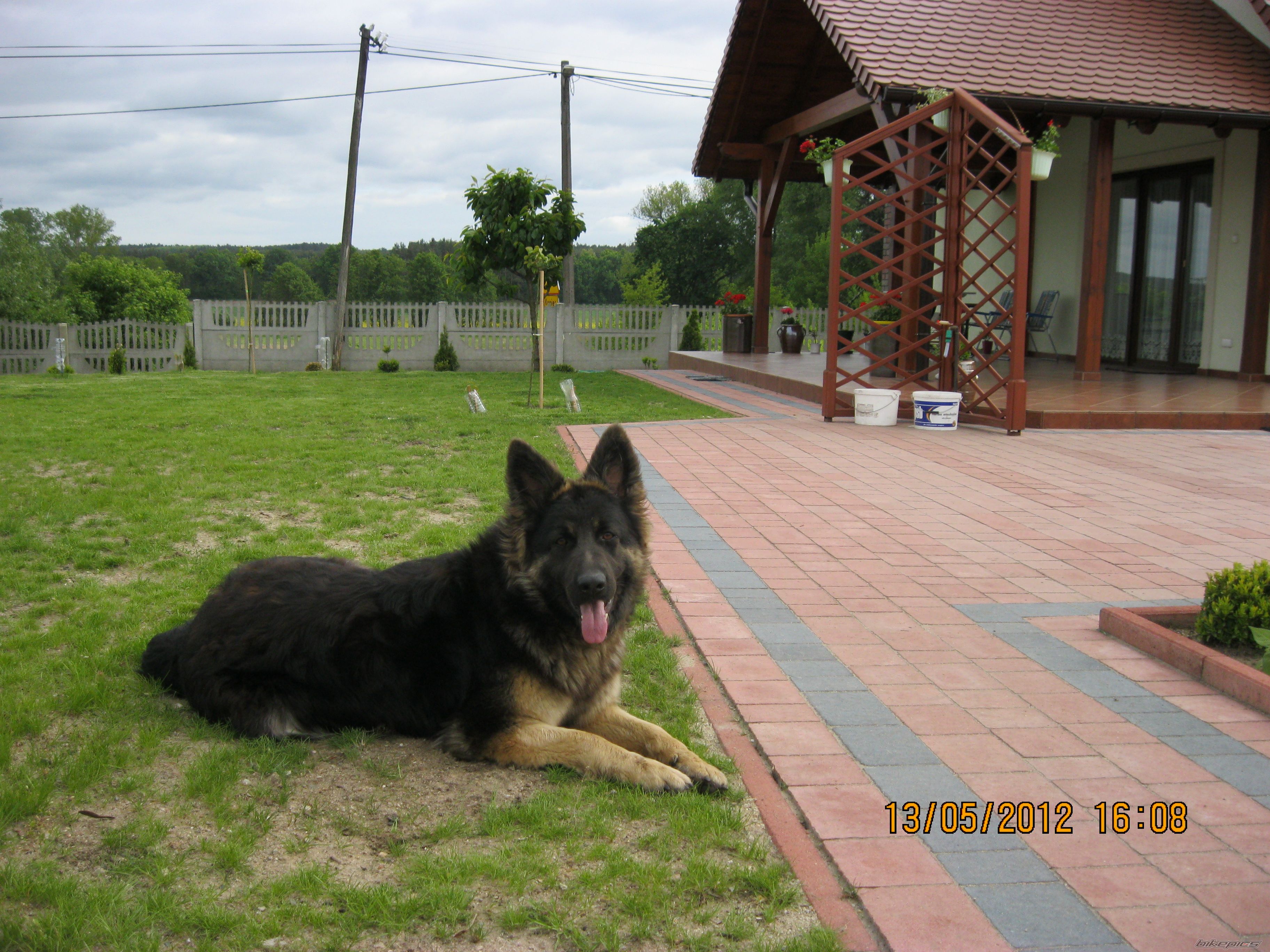 Photo 2400407