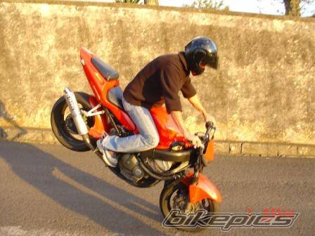 Photo 240042