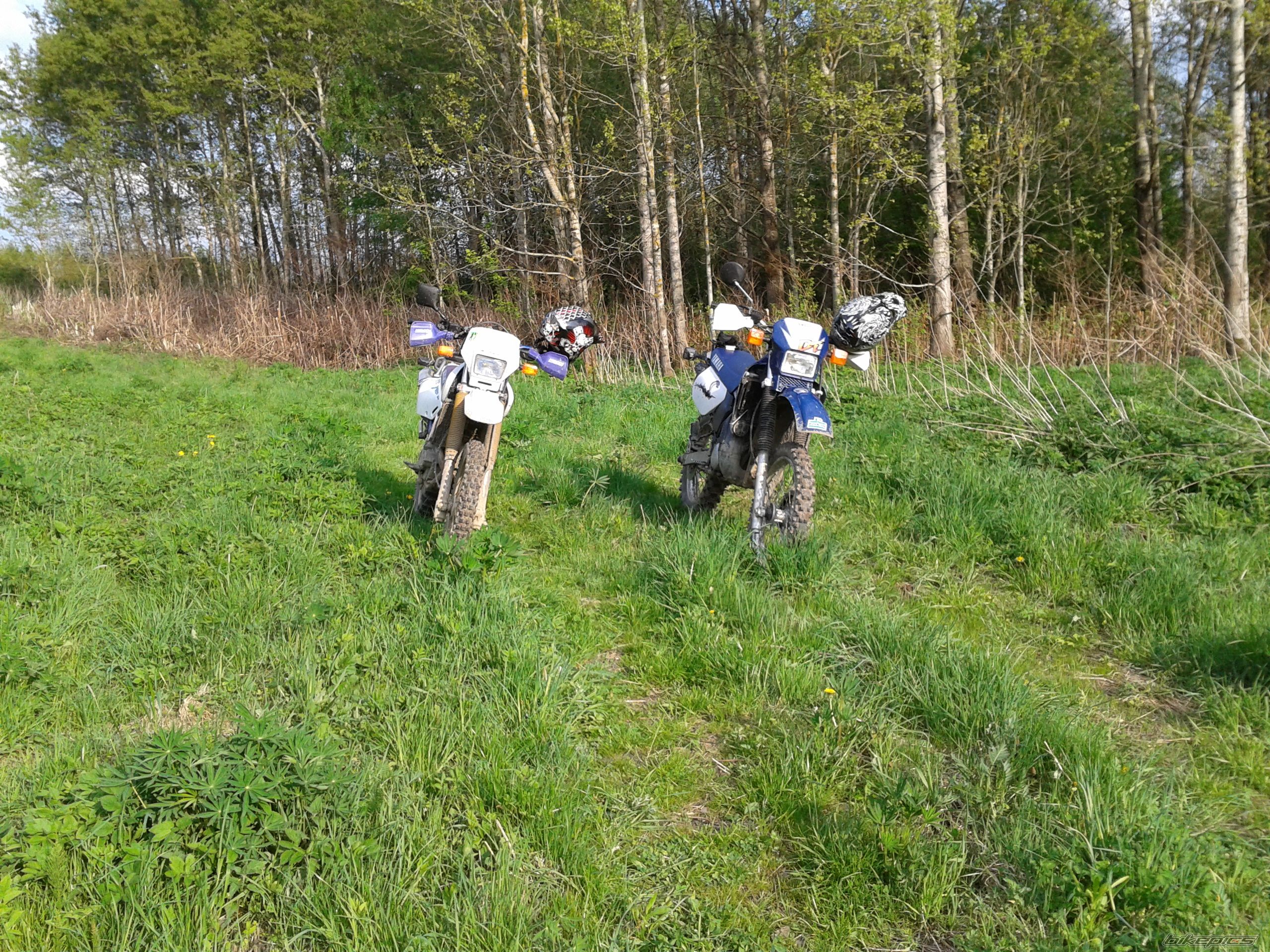 Photo 2400879