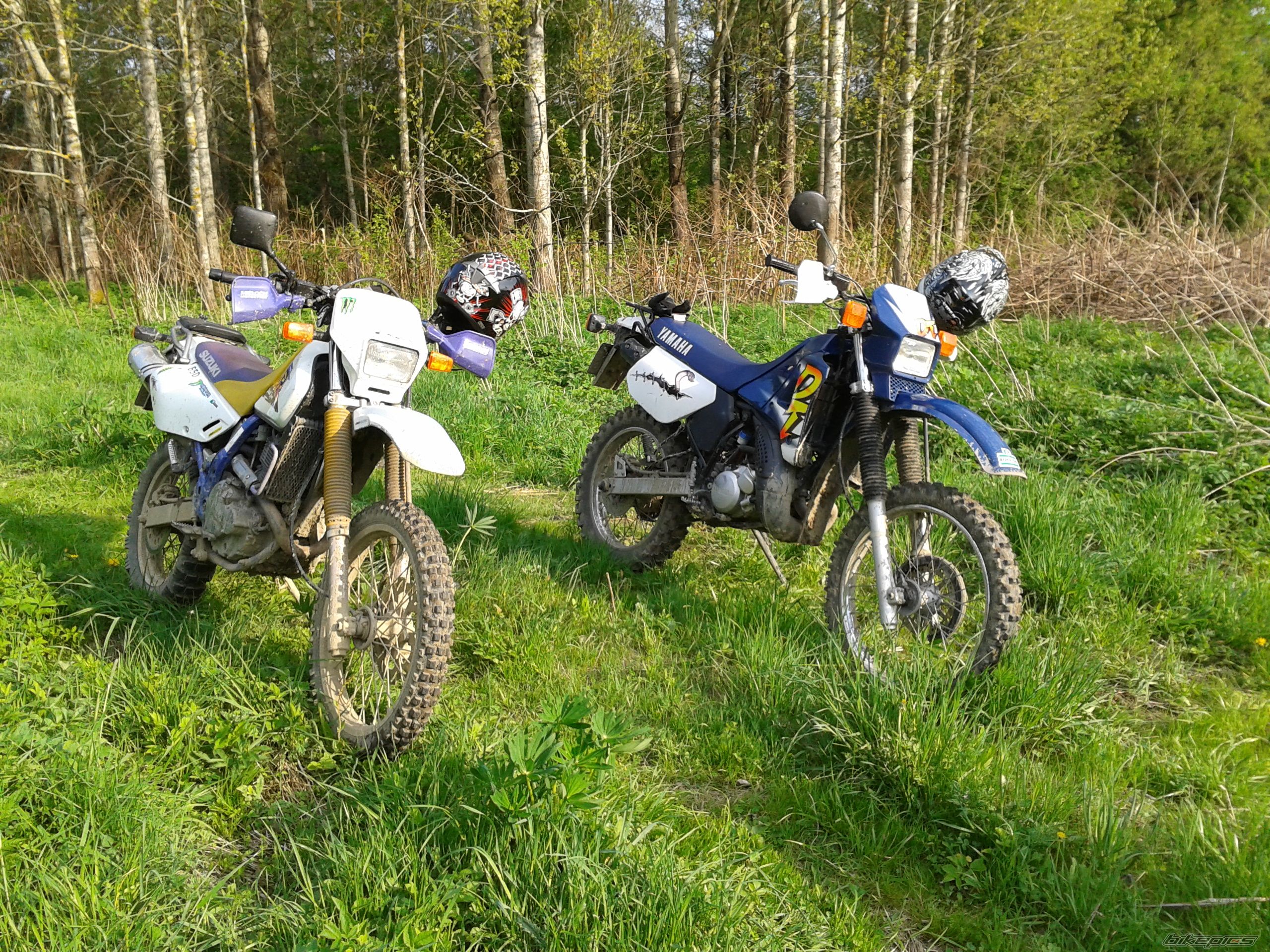 Photo 2400882