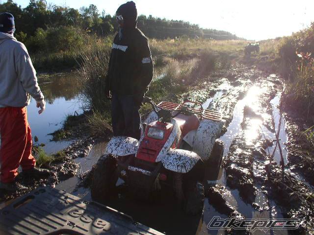 Photo 240089