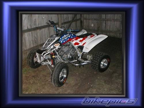 Photo 24009