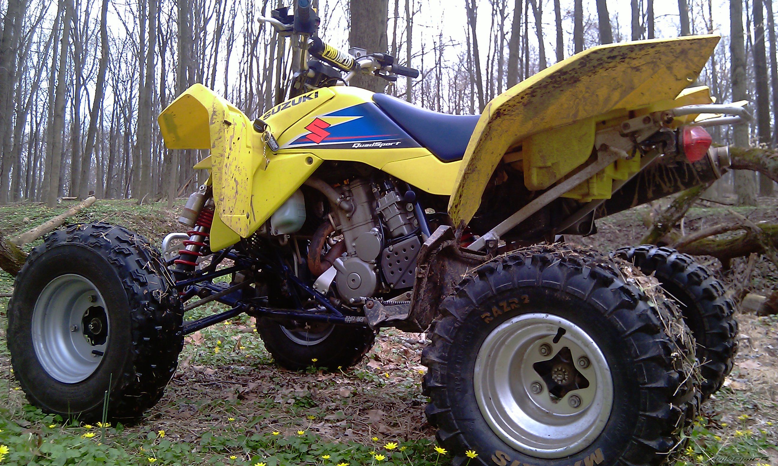Photo 2400957