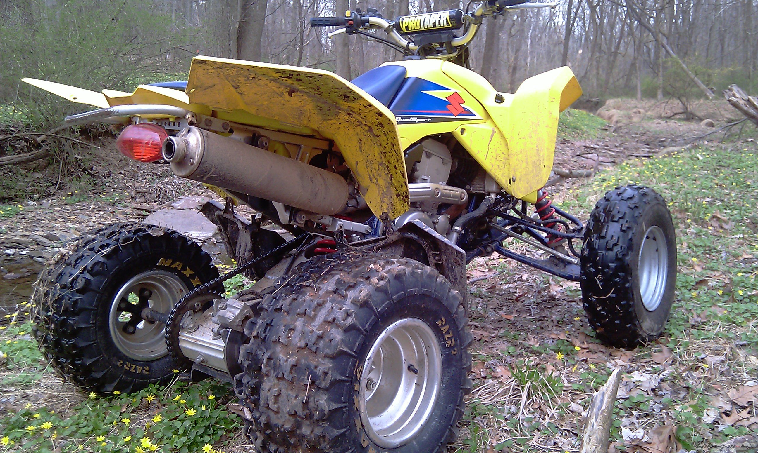 Photo 2400958