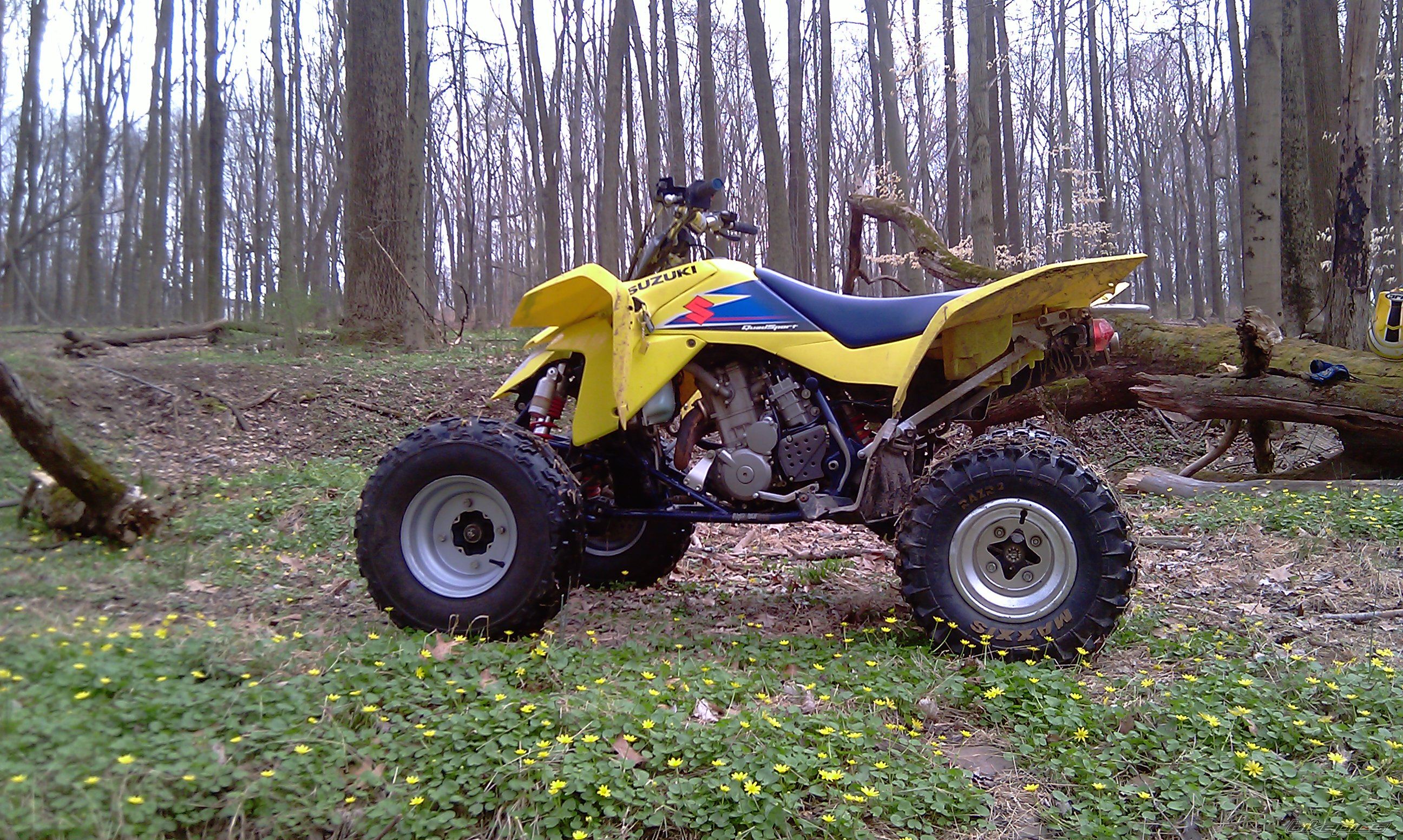 Photo 2400959
