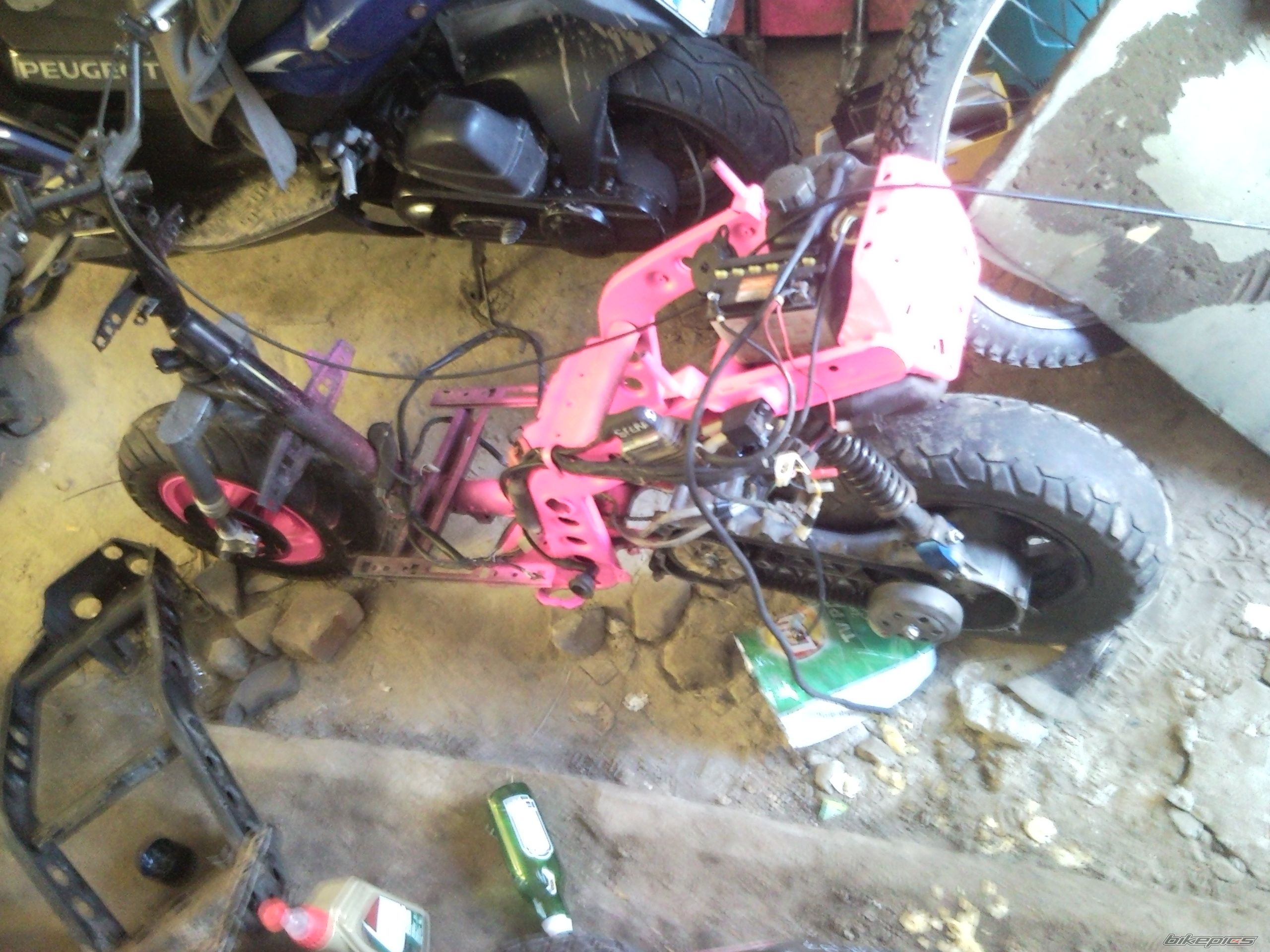 Photo 2401002
