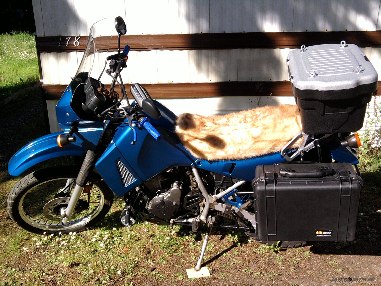 Bike Photo 2401291
