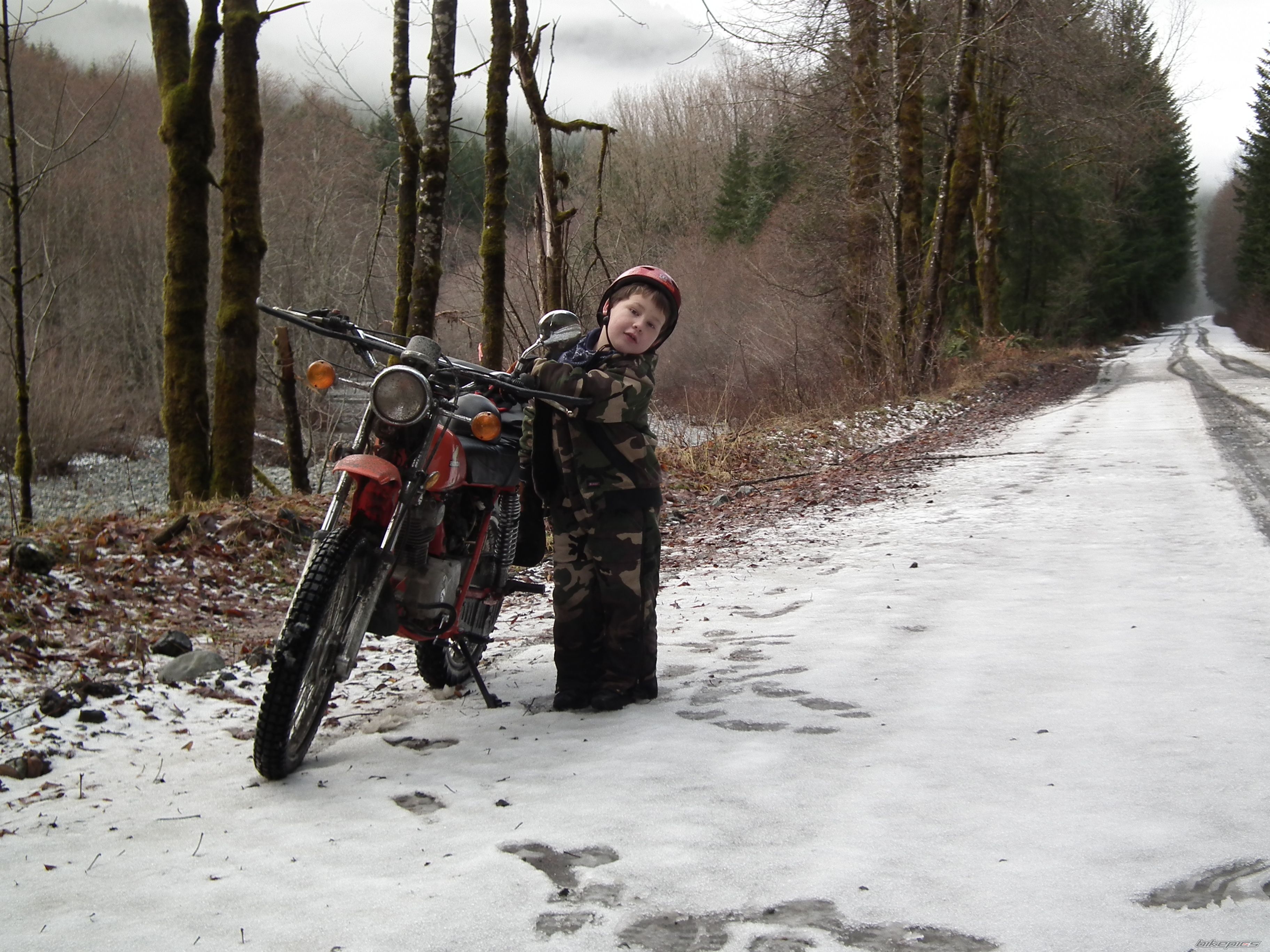 Photo 2401296